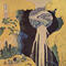 waterfall of amida